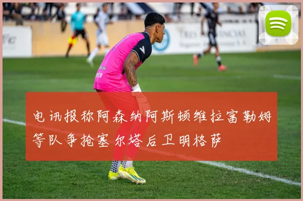 电讯报称阿森纳阿斯顿维拉富勒姆等队争抢塞尔塔后卫明格萨